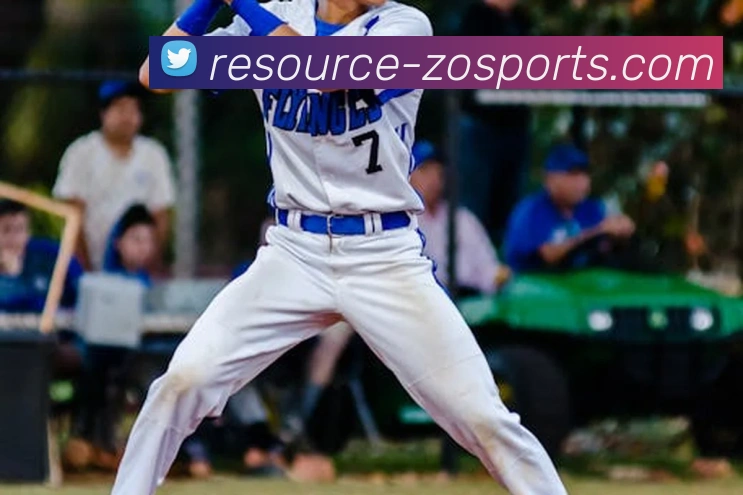 中欧体育平台生态图